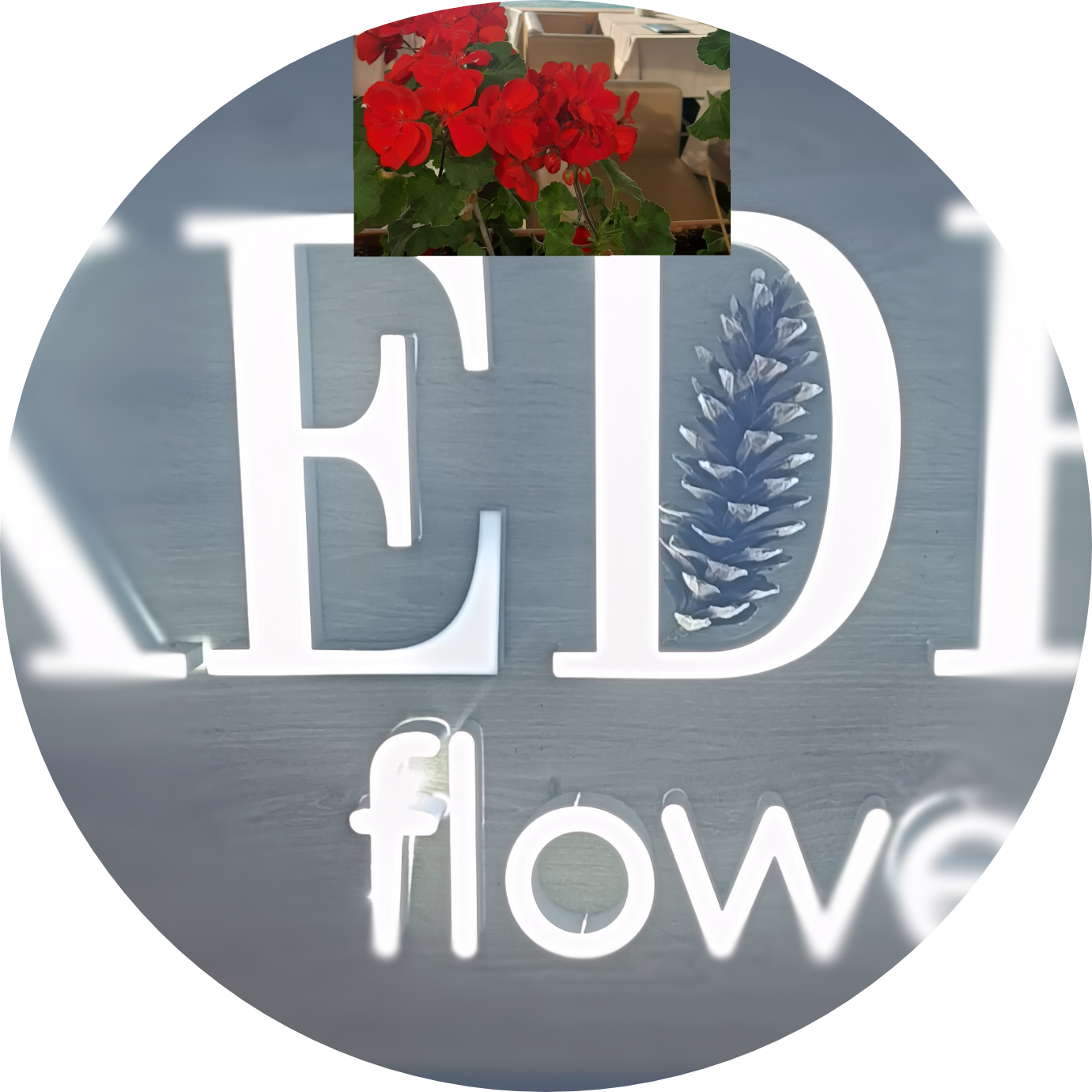 Kedr flowers