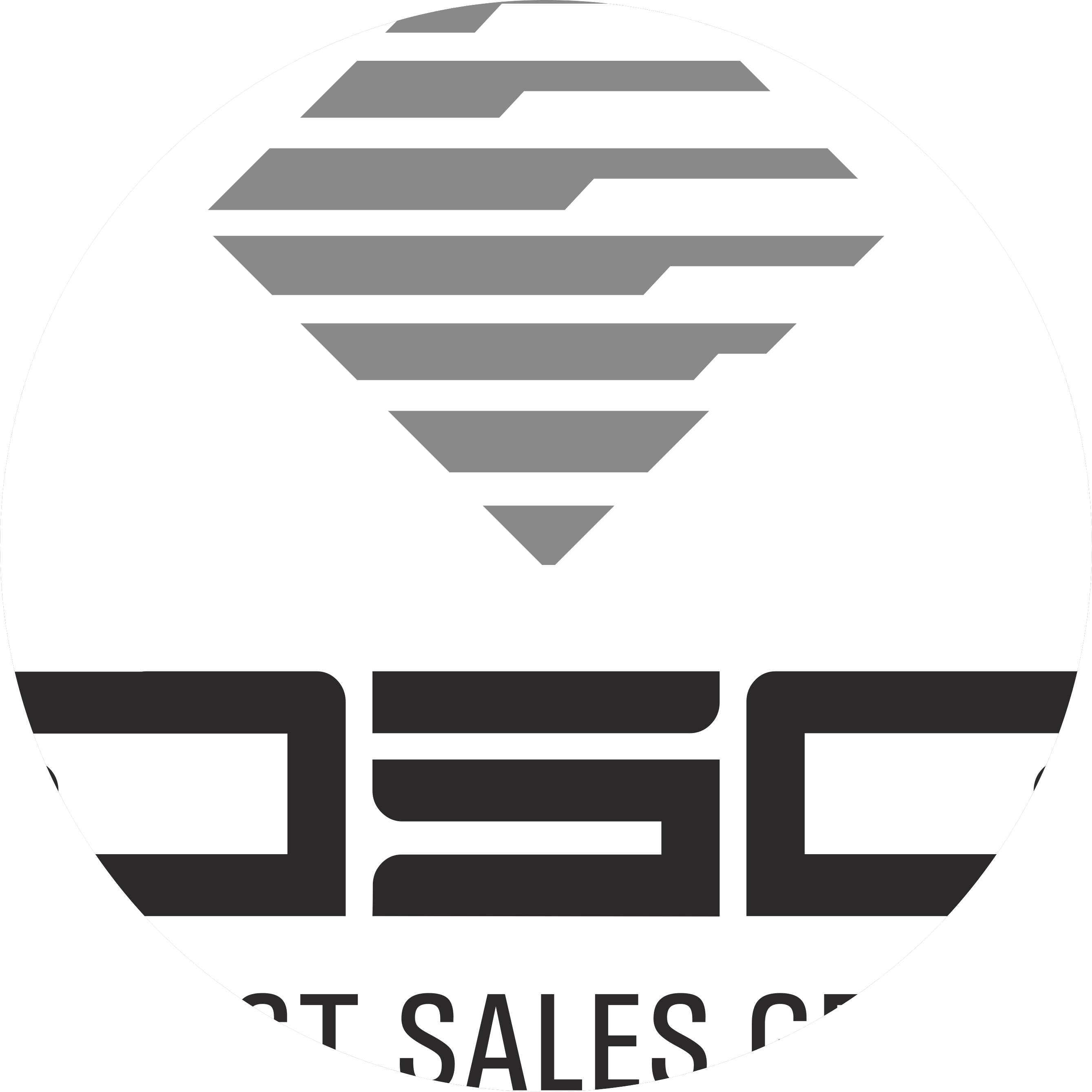 DirectSalesGroup