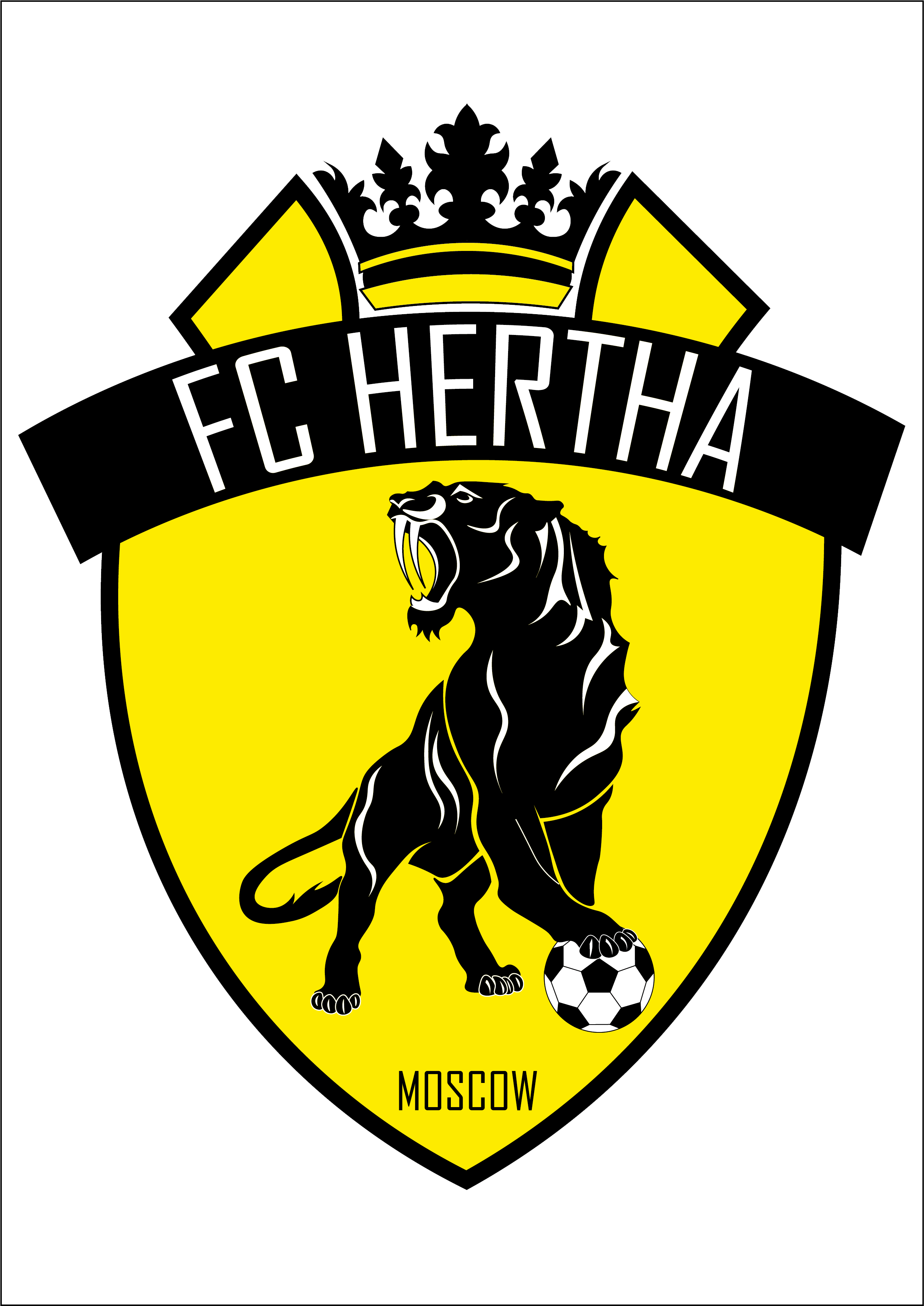 Футбольная Школа Герта