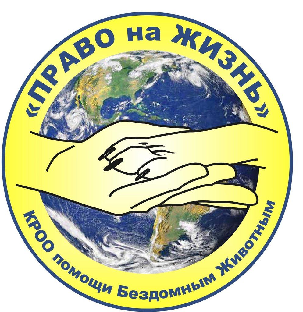 КРОО помощи бездомным животным Право на жизнь