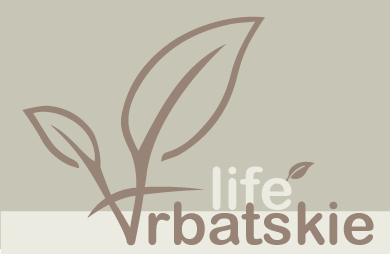 ARBATSKIE LIFE