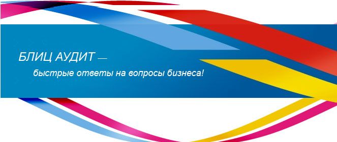 БЛИЦ АУДИТ, Аудиторская фирма