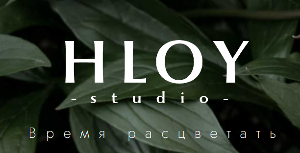 Студия красоты HLOY
