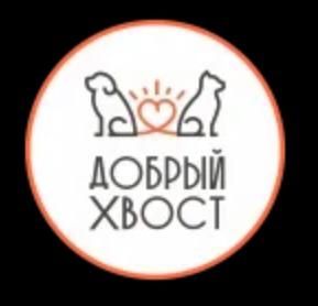 Добрый Хвост, г. Москва