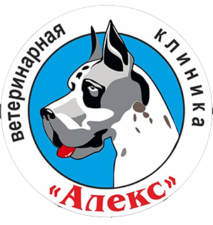 Рыкалова Елена Ильинична