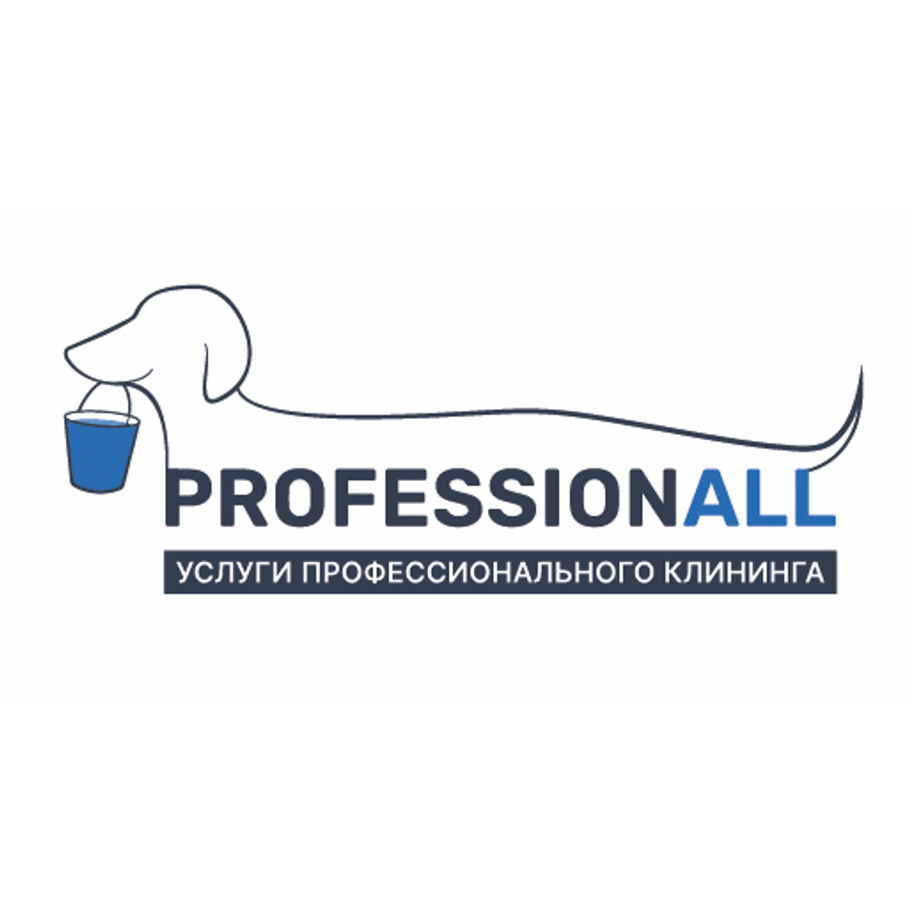Профессионалл