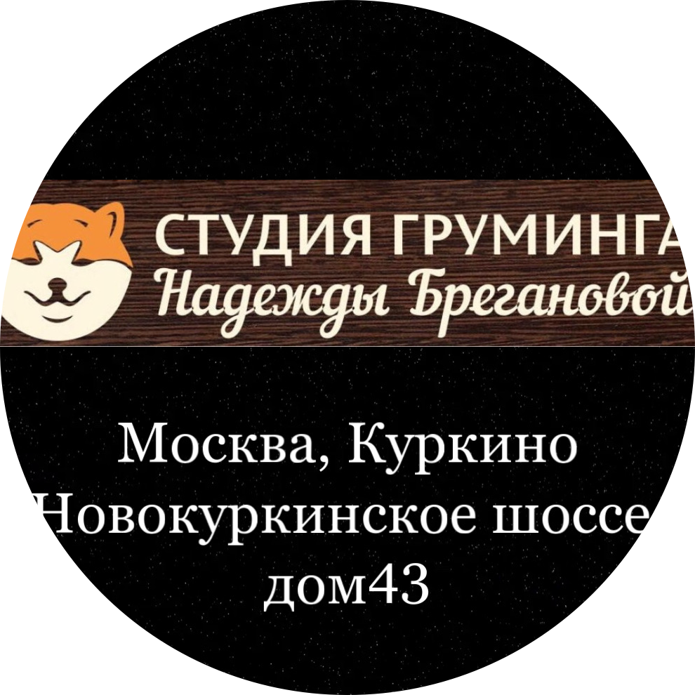 Студия груминга Надежды Брегановой