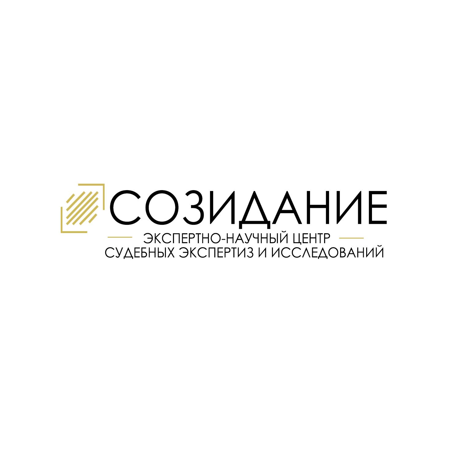 АНО ЭНЦ СЭИ Созидание
