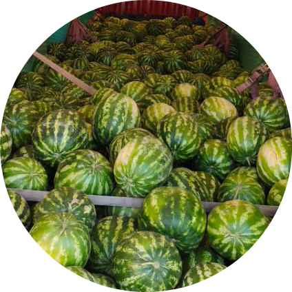 Легко