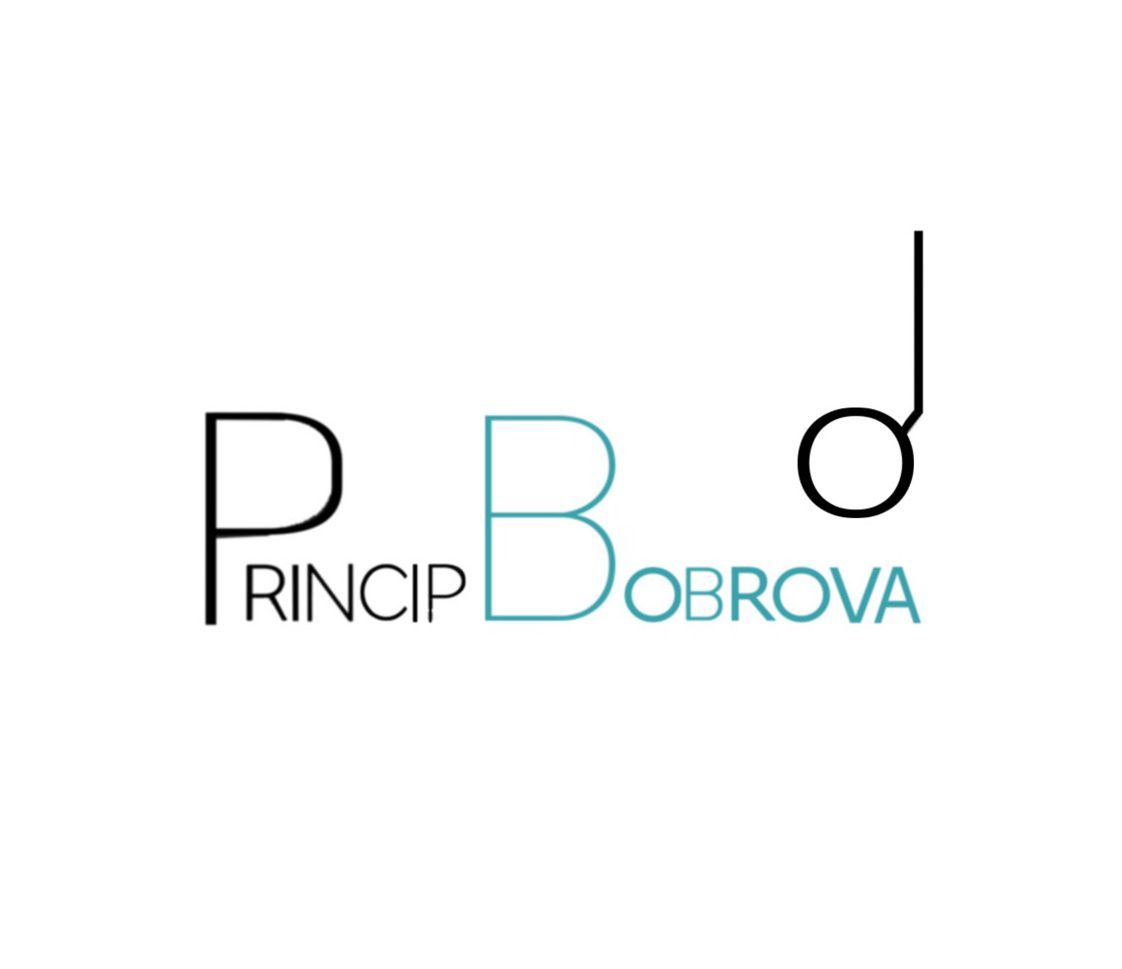 ПРИНЦИП БОБРОВА