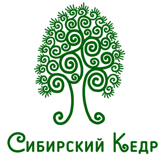 Сибирский Кедр