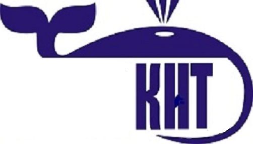 Кит