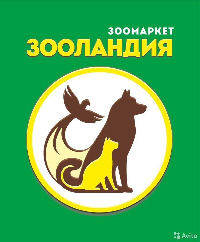 Лазаренков К. С.