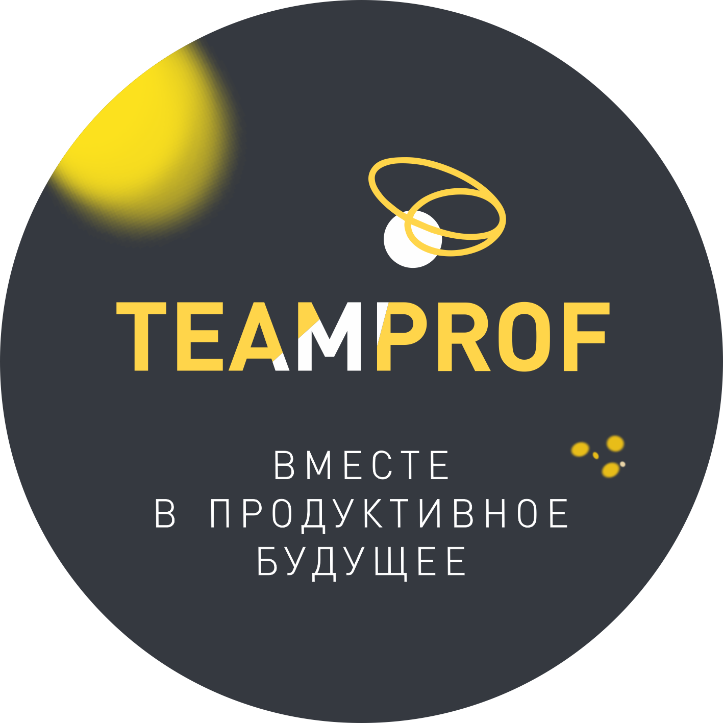 TEAMPROF