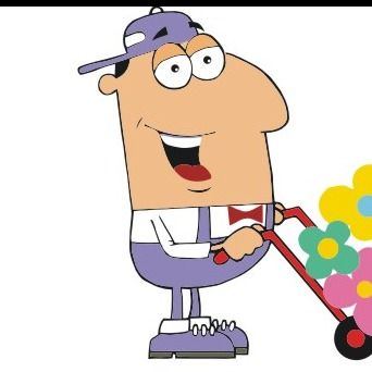 mr flowers