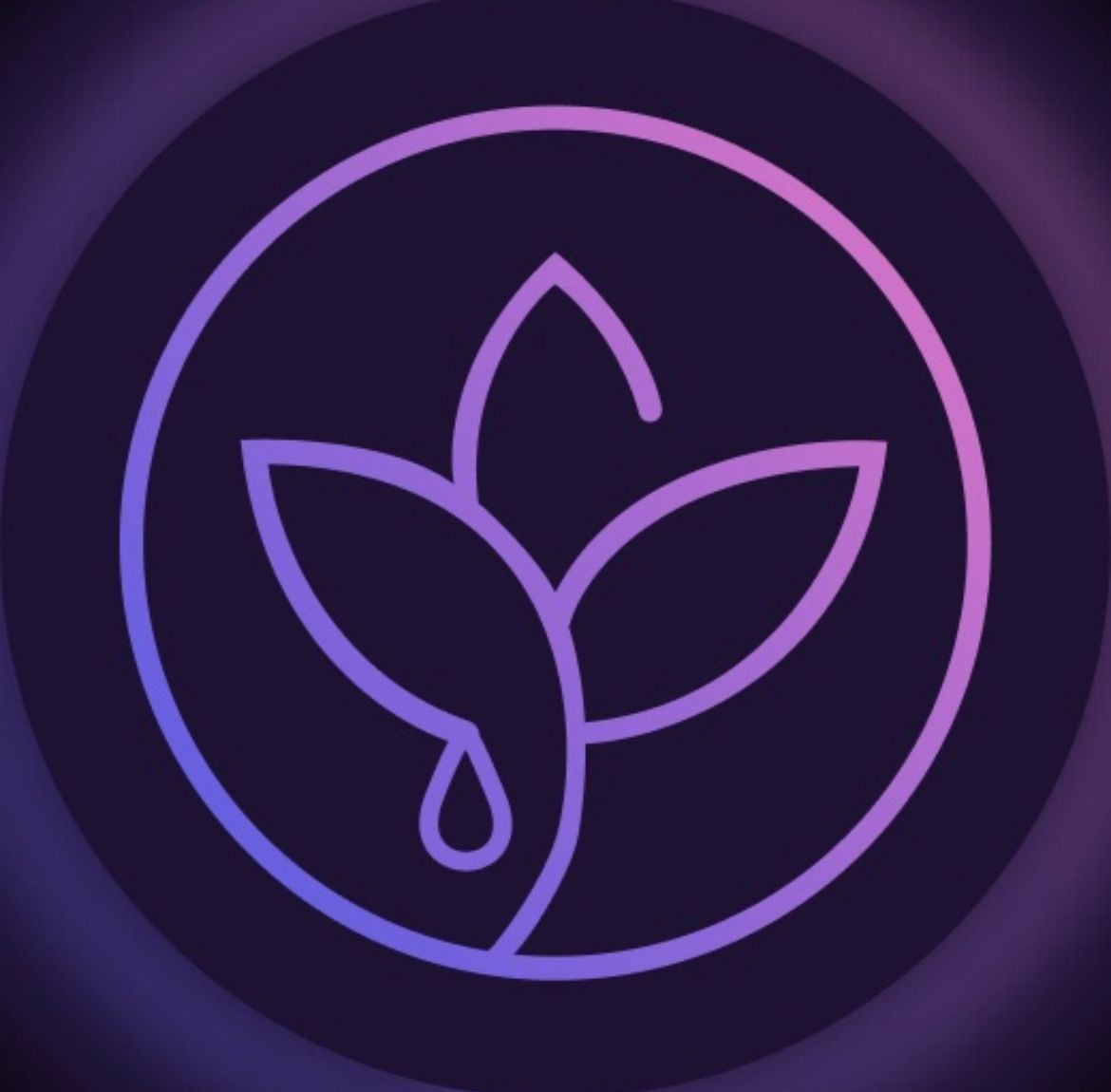 Mira Perfume
