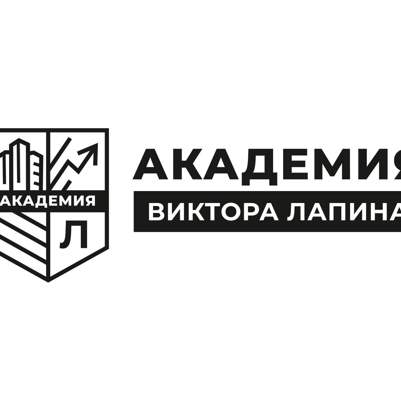 Академия Виктора Лапина