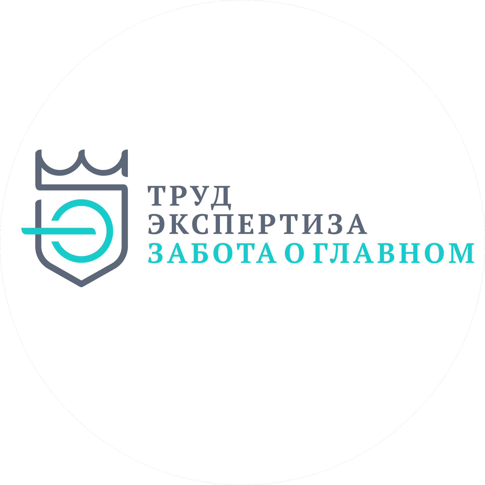 Труд-Экспертиза