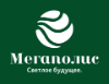 ООО Мегаполис