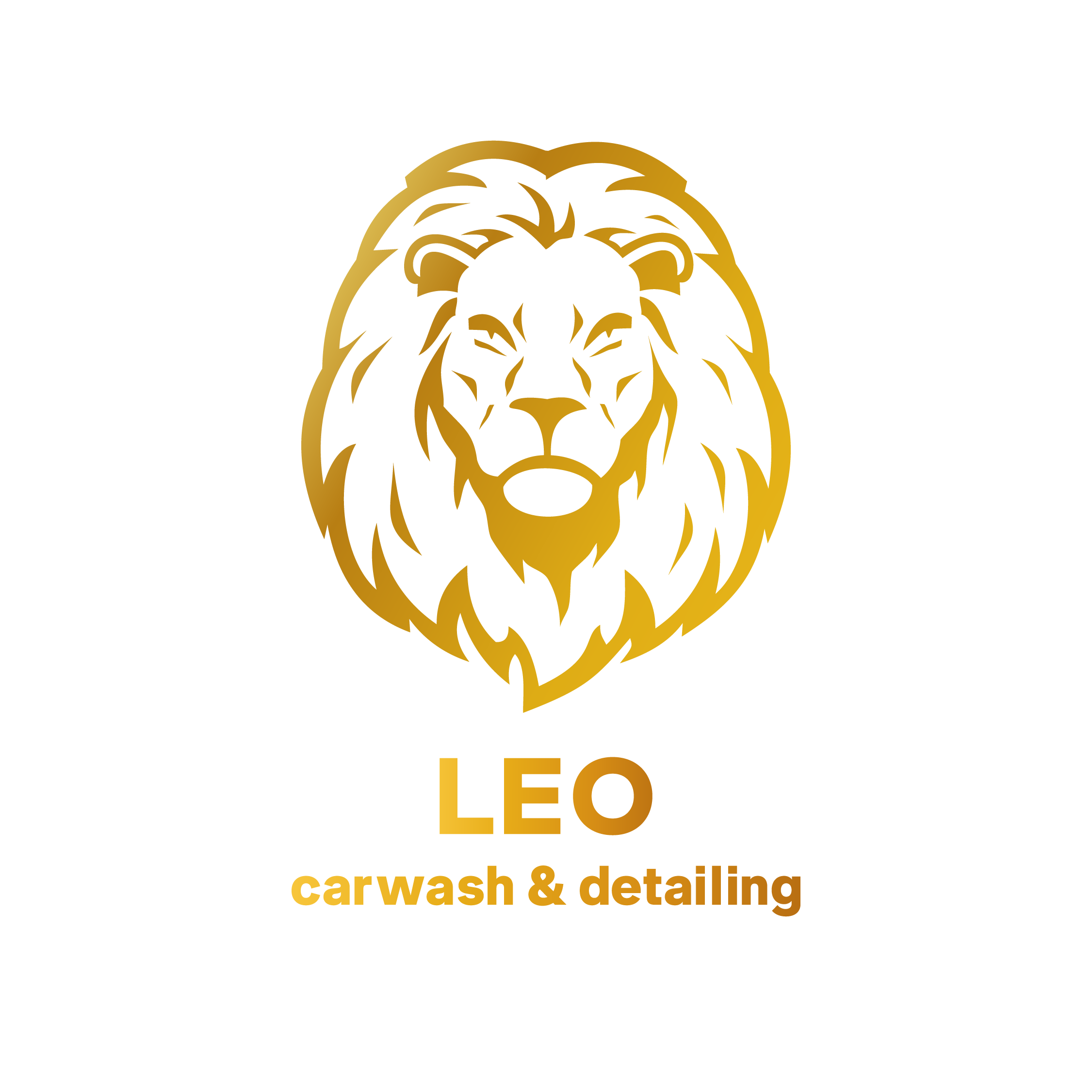 Leo Detailing