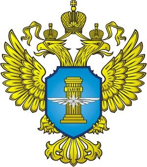 ТОГАДН по Амурской области МТУ Ространснадзора по ДФО