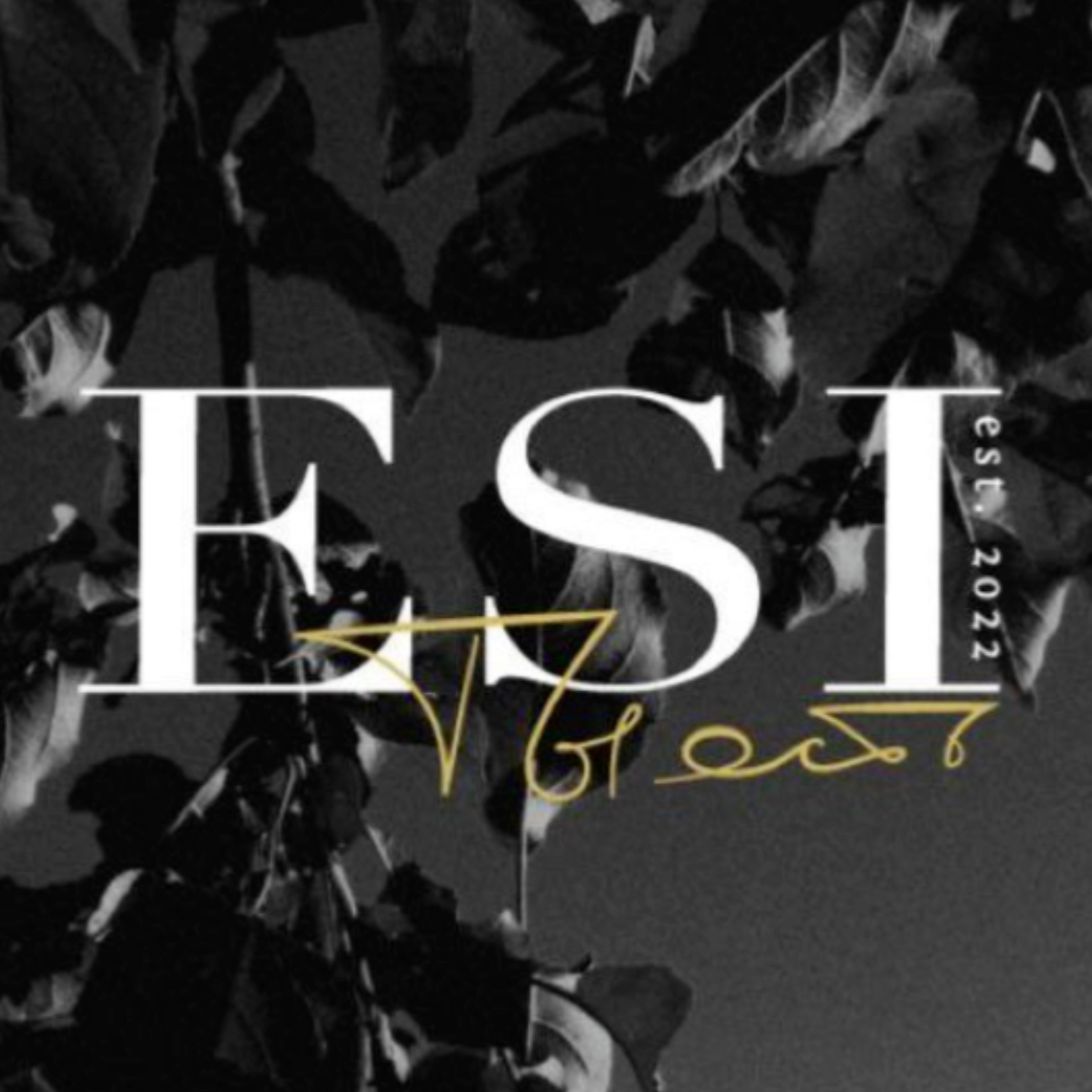 Еси - ты есть