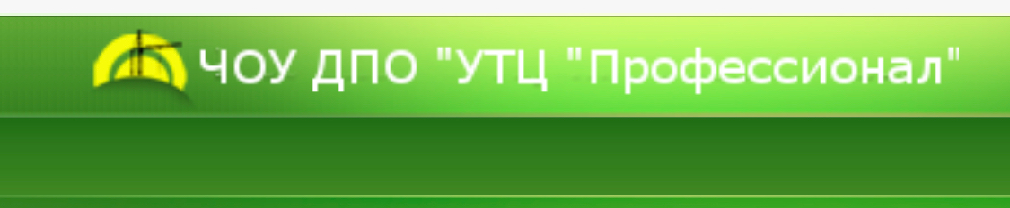 ЧОУ ДПО УТЦ Профессионал