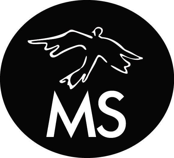 Дизайнерская студия Maxim Sokolov