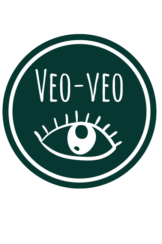 Студия Veo-veo. Английский и развитие