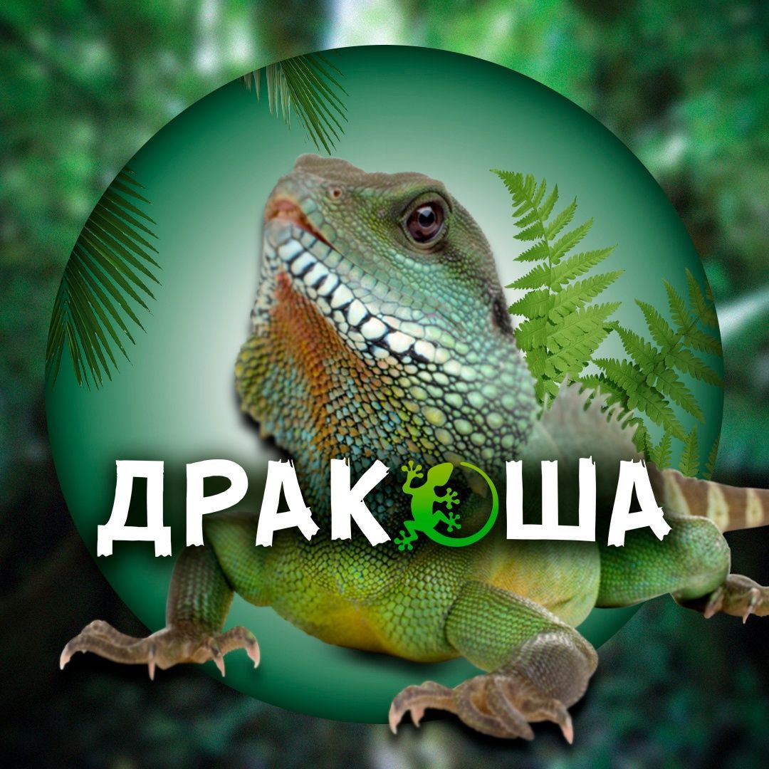 Тихонова Алла Владиславовна