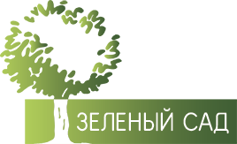 Корнильева Анна Гессиодовна
