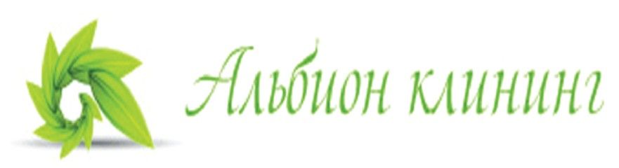 Альбион Клининг