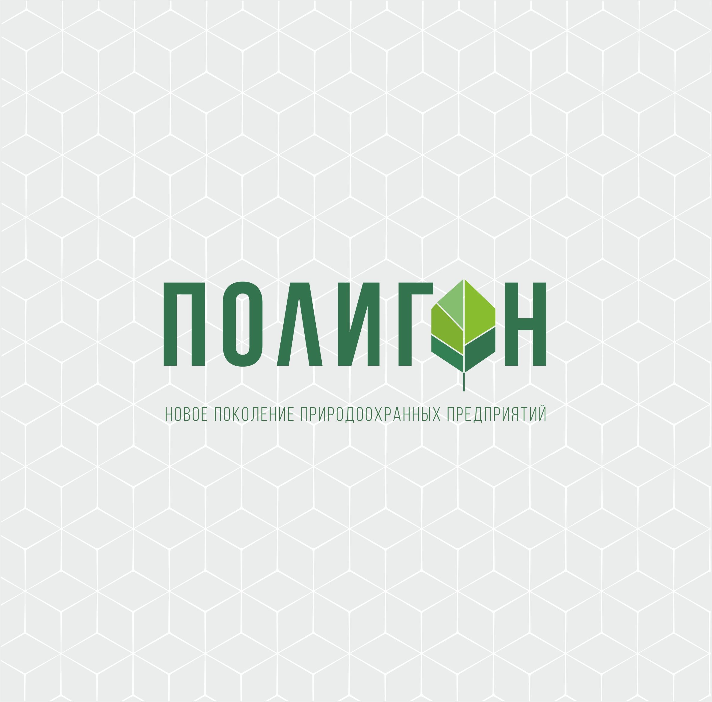 Полигон