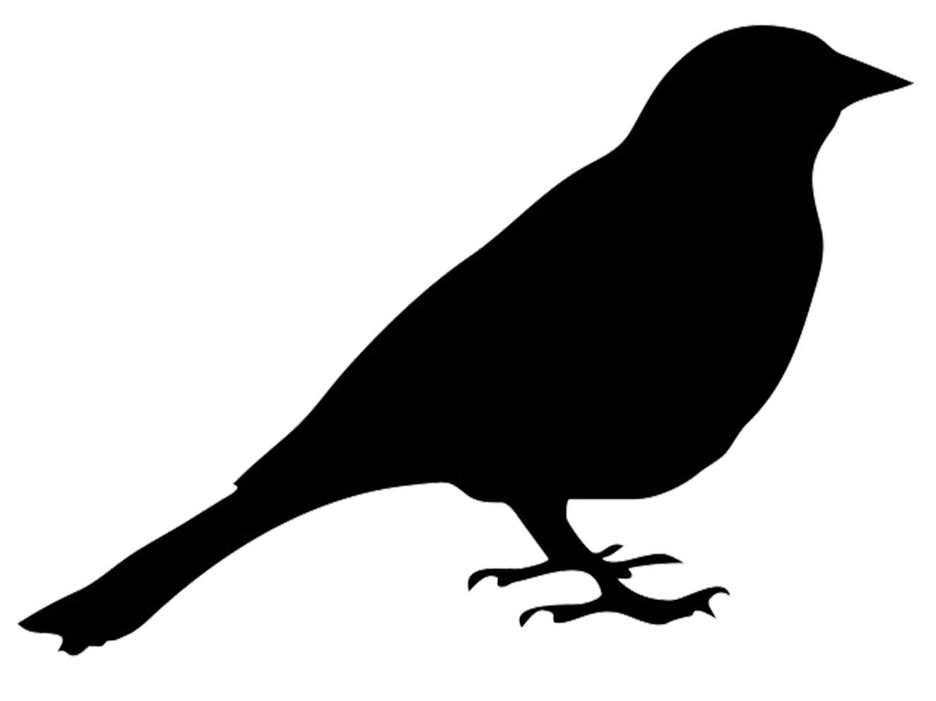 КЕННЕР