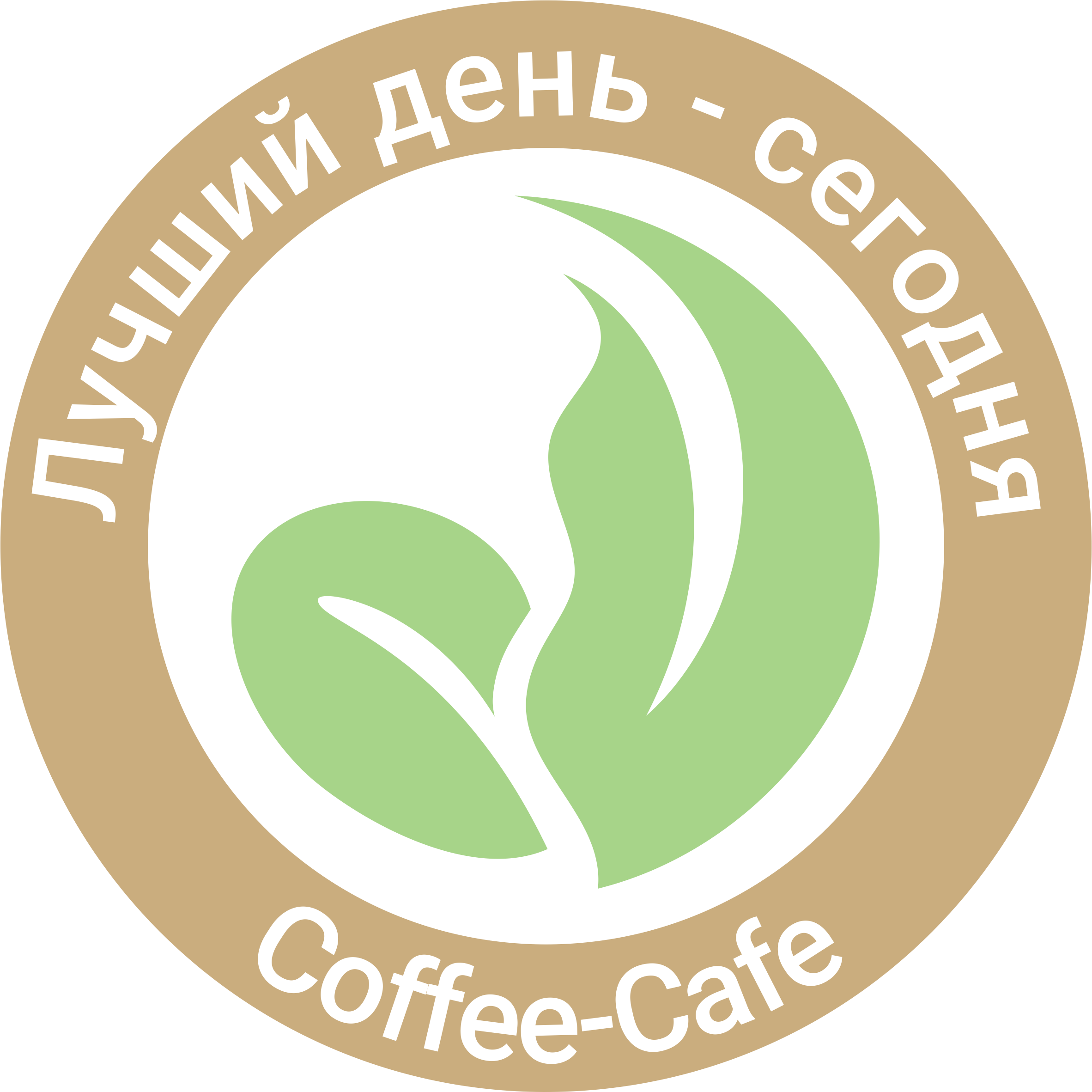 Лучший день!