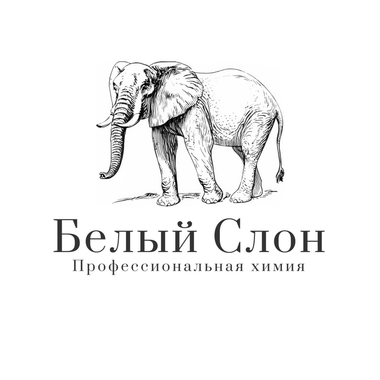 Гурьева Наталия Владимировна