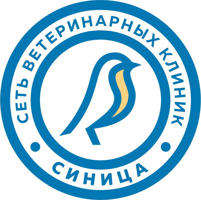 Шакин Анатолий Викторович