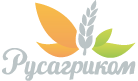 Русагриком