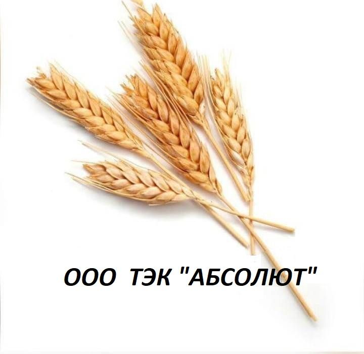 Тэк Абсолют
