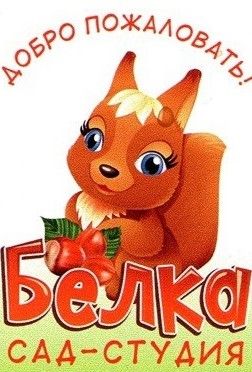 ЧДОУ Школа семейного благополучия