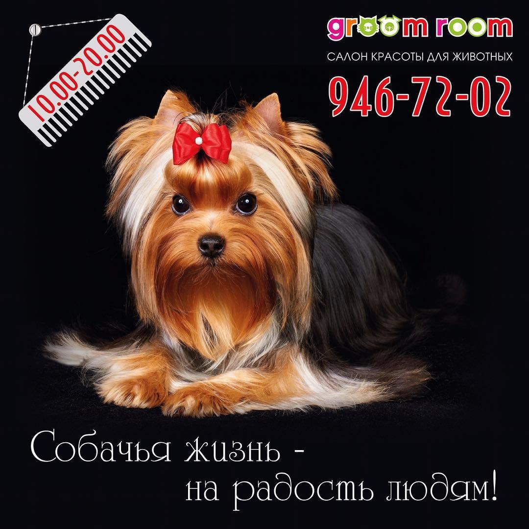 Зоосалон GROOMROOM
