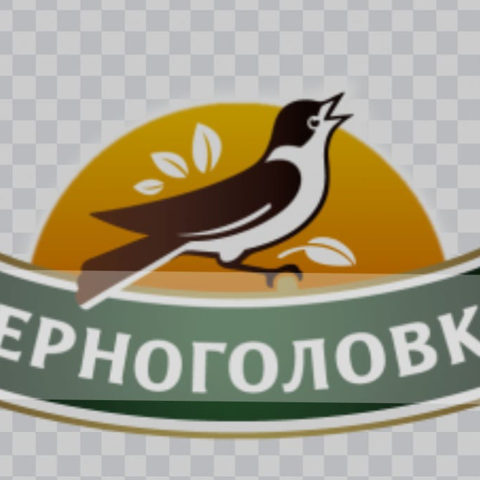 ГК «Черноголовка»
