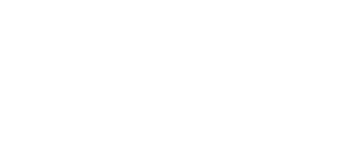 Spot Film