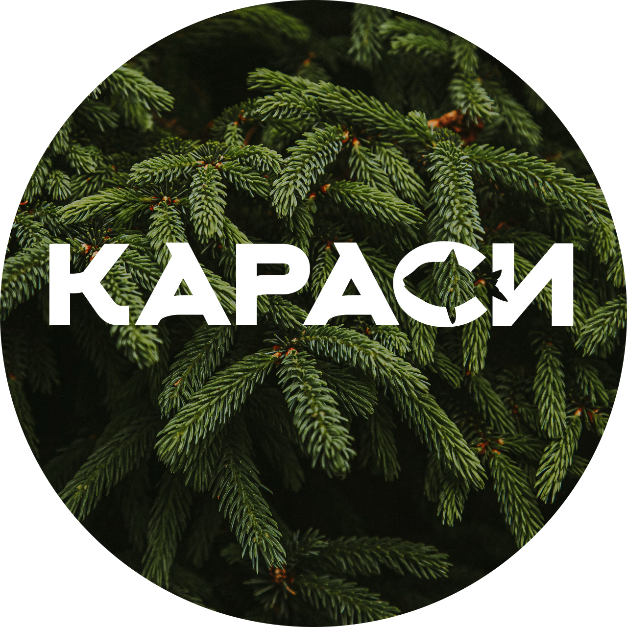 База отдыха КАРАСИ