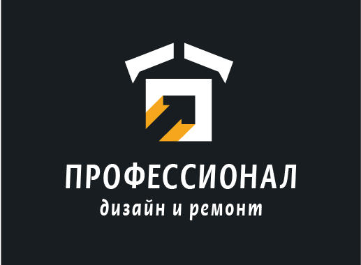 Профессионал
