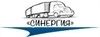 Синергия