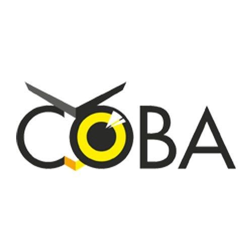 Компания Сова