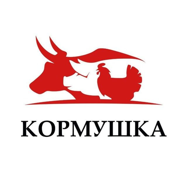 Цуркану Дмитрий Викторинович