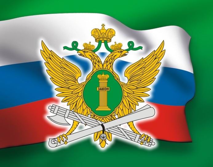 Чеховский районный отдел судебных приставов ГУФССП России по Московской области