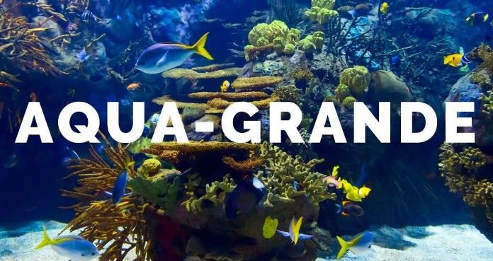 Aqua-Grande